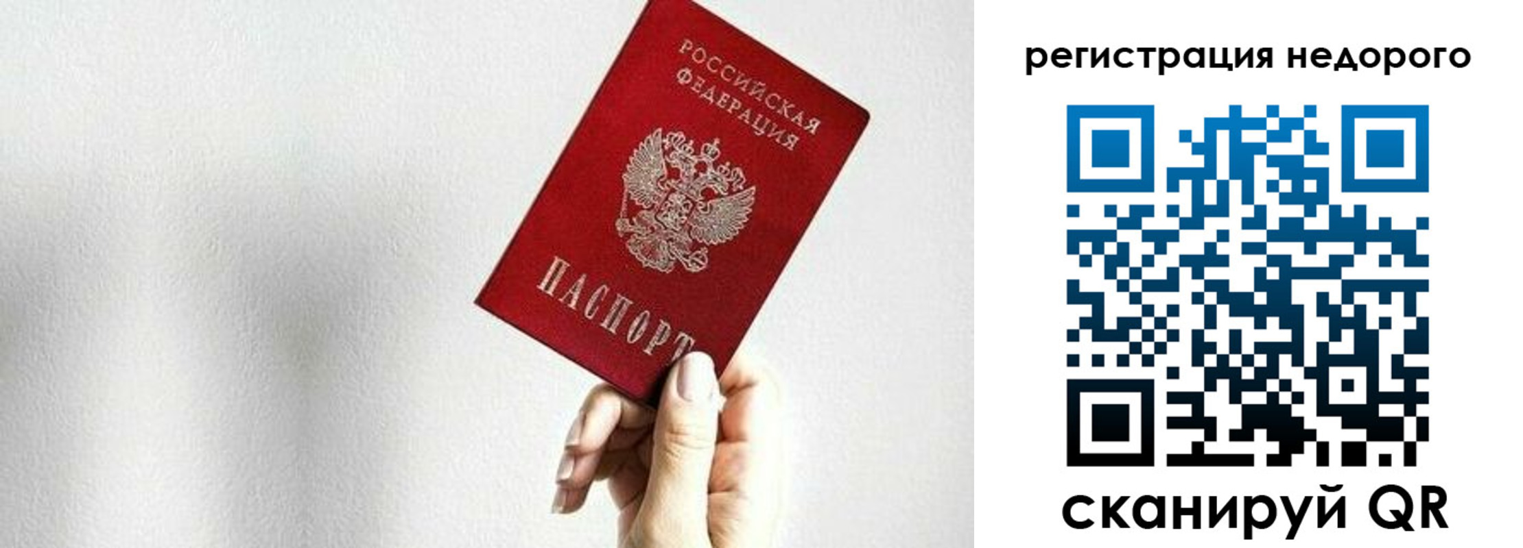 прописка в квартире в Ленинградской области